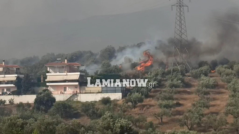 Μάχη με τις φλόγες στη Λαμία – Κάηκαν σπίτια